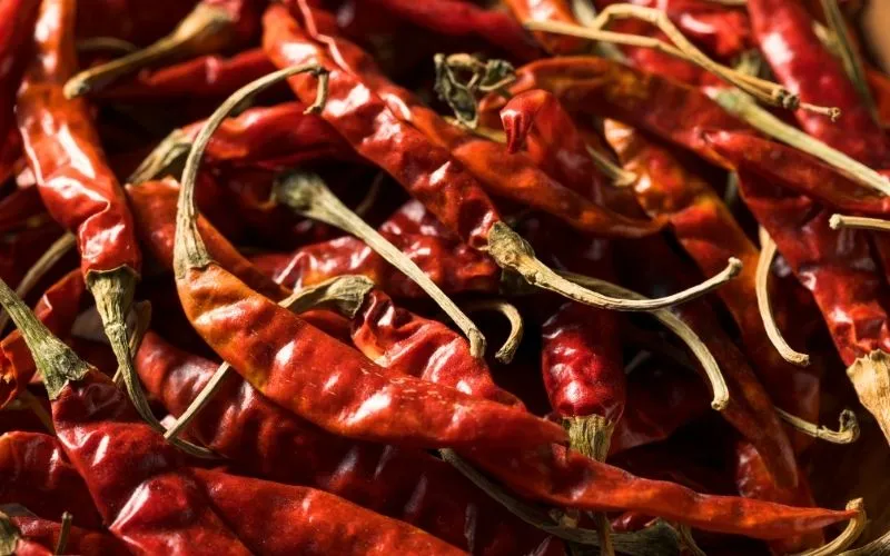 Chile de árbol nacional vs importado